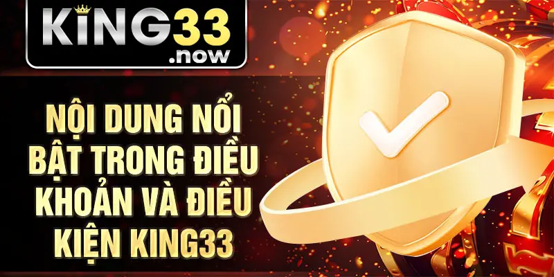 Nội dung nổi bật trong điều khoản và điều kiện King33