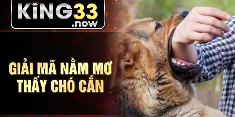 Giải mã nằm mơ thấy chó cắn