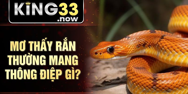 Mơ thấy rắn thường mang thông điệp gì?