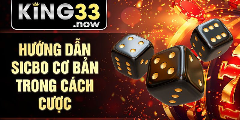 Hướng dẫn Sicbo cơ bản trong cách cược