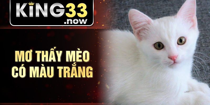 Mơ thấy mèo có màu trắng