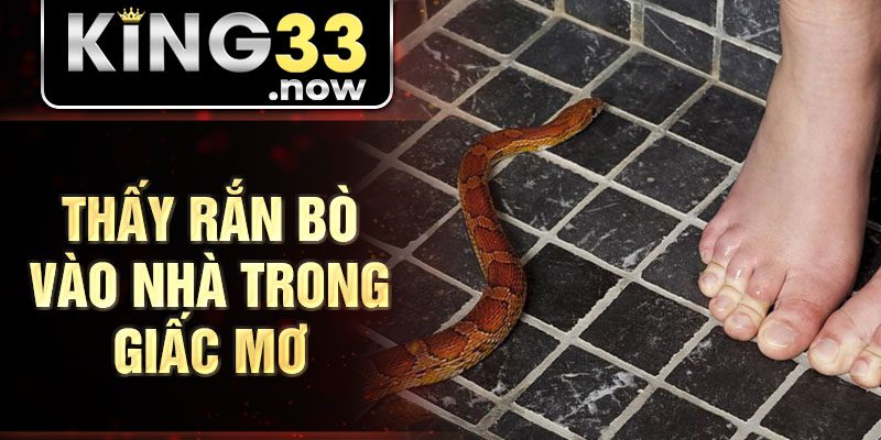 Thấy rắn bò vào nhà trong giấc mơ