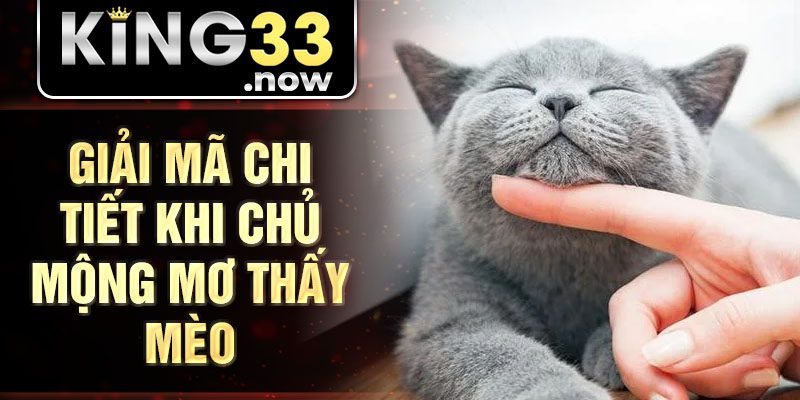 Giải mã chi tiết khi chủ mộng mơ thấy mèo