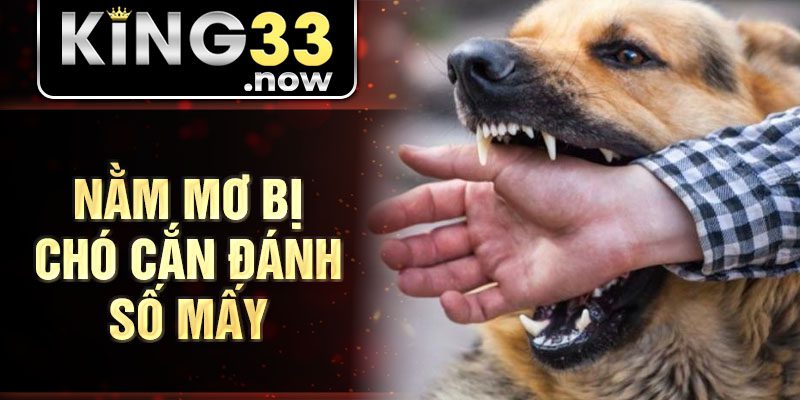 Nằm mơ bị chó cắn đánh số mấy