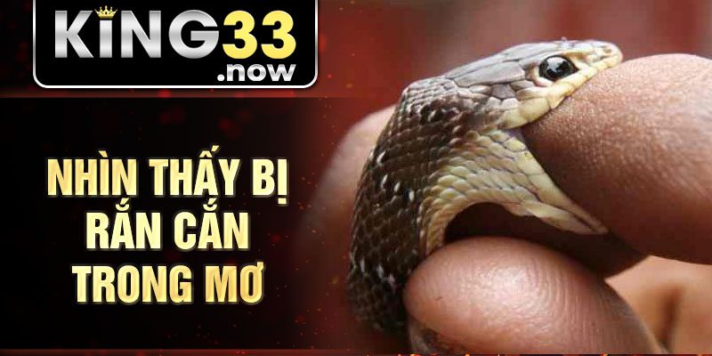 Nhìn thấy bị rắn cắn trong mơ